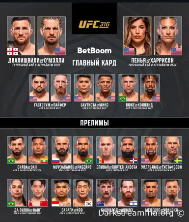 UFC 316 Мераб Двалишвили — Шон О’Мэлли прямая трансляция смотреть онлайн бесплатно